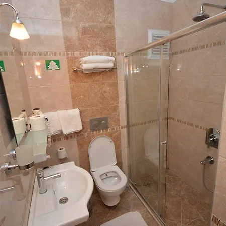 Hotel Saray